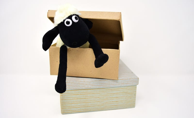 Cardboard Box Marble Run