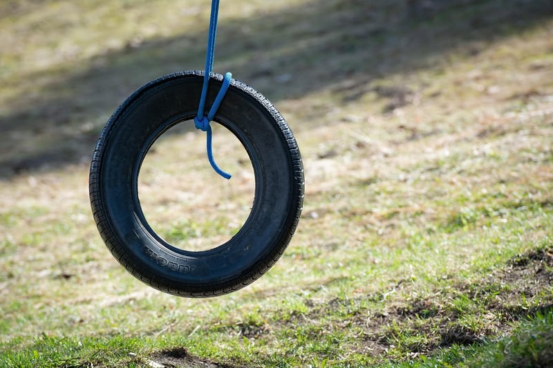 Tire Swing